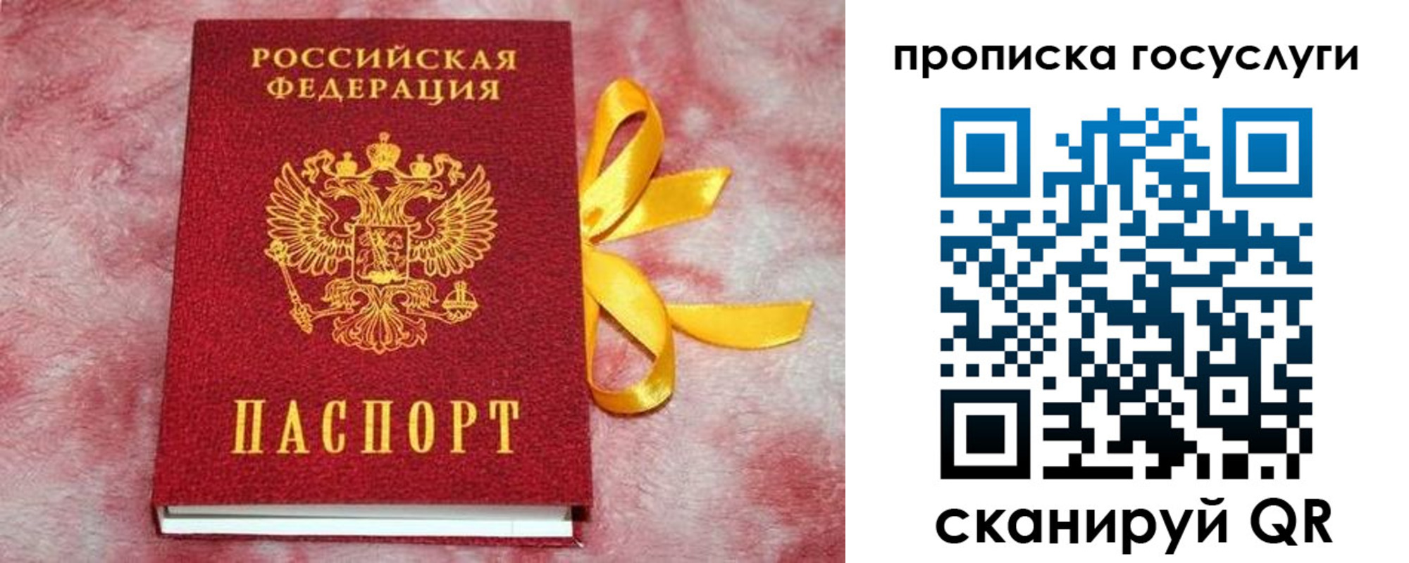 прописка законно в Цивильске